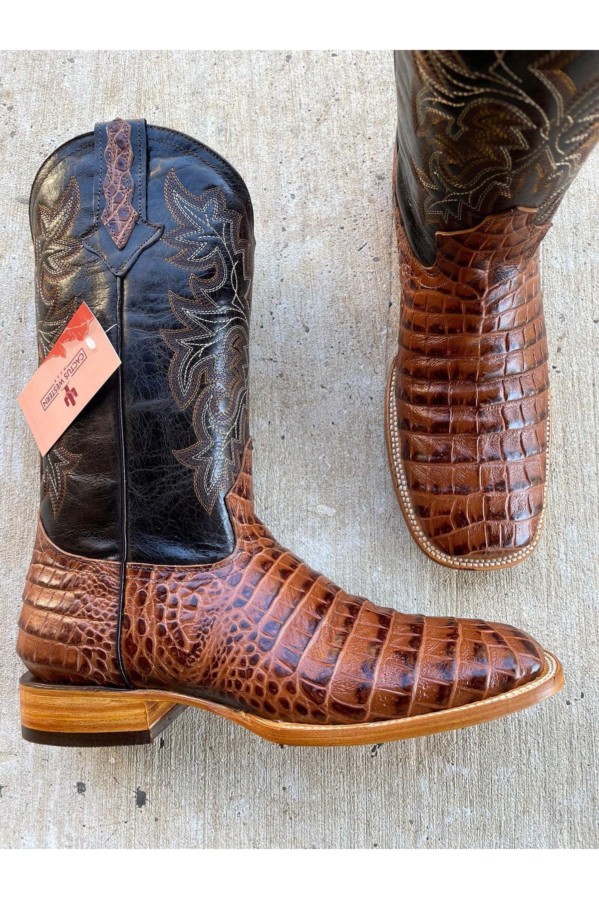 Cactus Exotic Men's Cognac Lizard